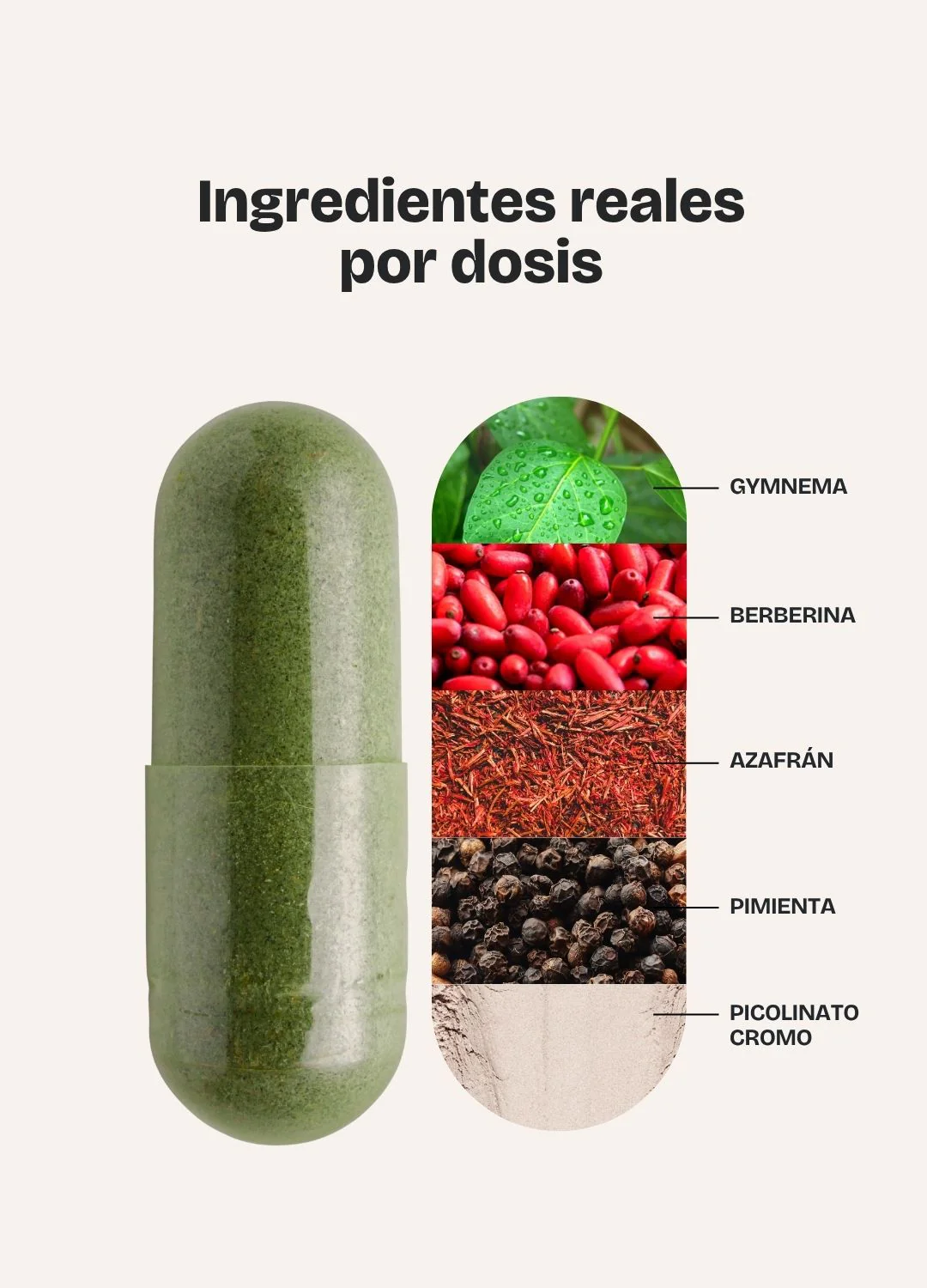 Metabolic - Image 5